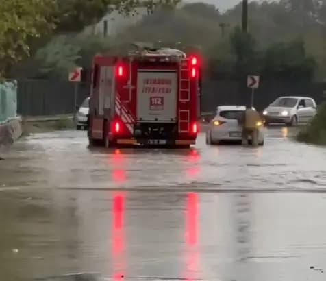 IMG_2693.webp
